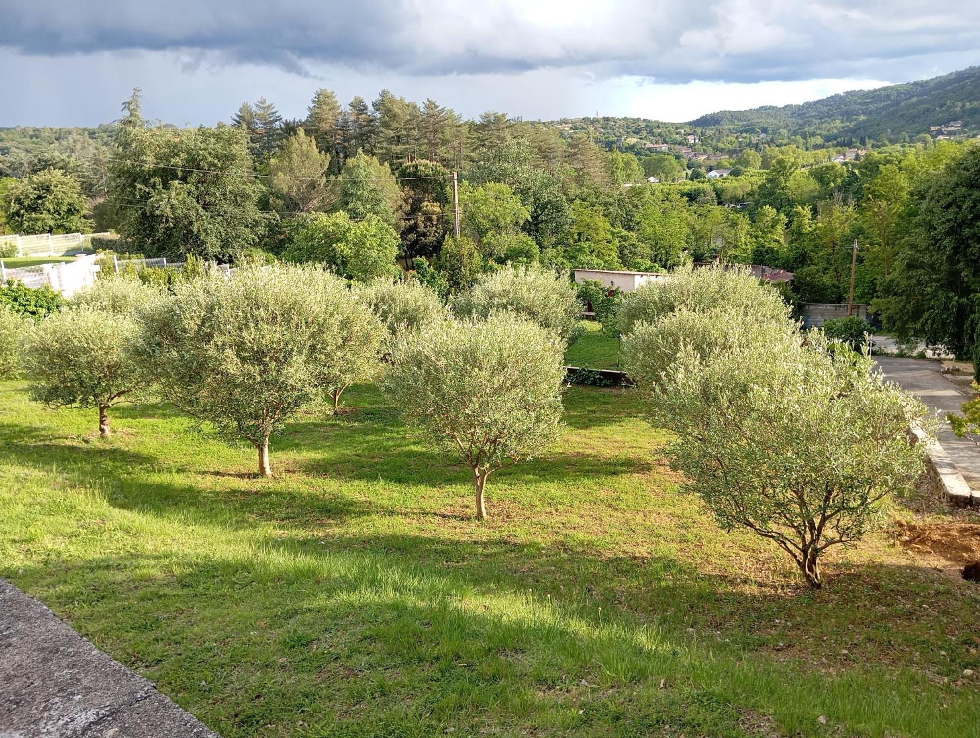 Le Moulin Villa Vallon-Pont-d'Arc Bagian luar foto